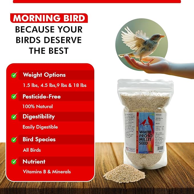 Morning Bird White Proso Millet 1.5 lbs – Unhulled Natural Bird Seed – Supports Feather Growth & Balanced Nutrition – High Energy Delicious Seed - Ideal for Finches, Parakeets & Pet Birds