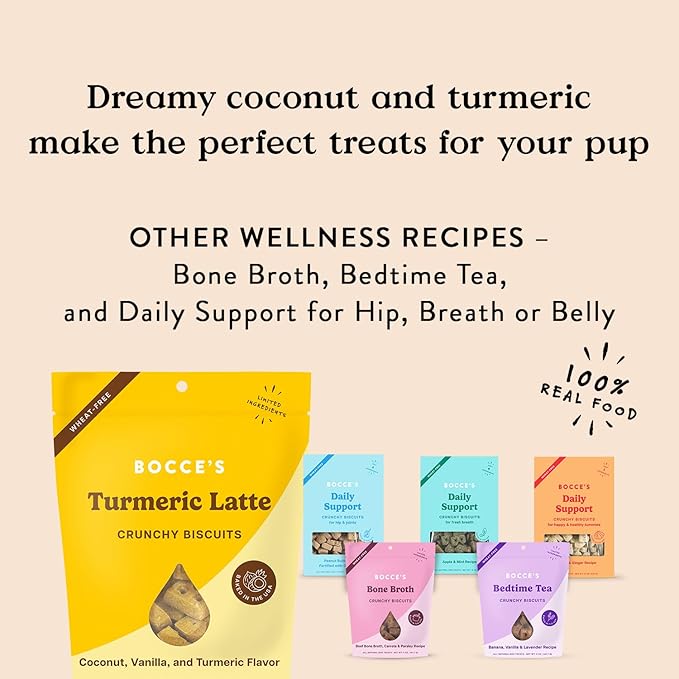 Bocce's Bakery Oven Baked Turmeric Latte Treats for Dogs, Wheat-Free Everyday Dog Treats, Made with Real Ingredients, Baked in The USA, All-Natural Biscuits, Coconut, Vanilla, & Turmeric, 5 oz