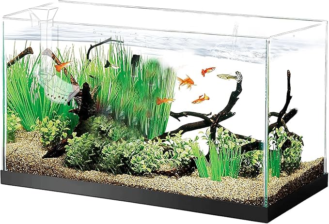 Aquarium Fish Shrimp Feeding Dish Set - Clear Feeder Tube and Dish With Cleaning Brush and Measuring Spoon for Shrimp - Prevents Food Scattering - Supplies for Small Fish