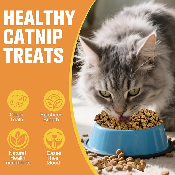 Healthy Cat Treats Soft & Crunchy - Catnip & Salmon Flavor, Cat Training Treats for Indoor Cats & Kittens, Dental Care & Digestive Support