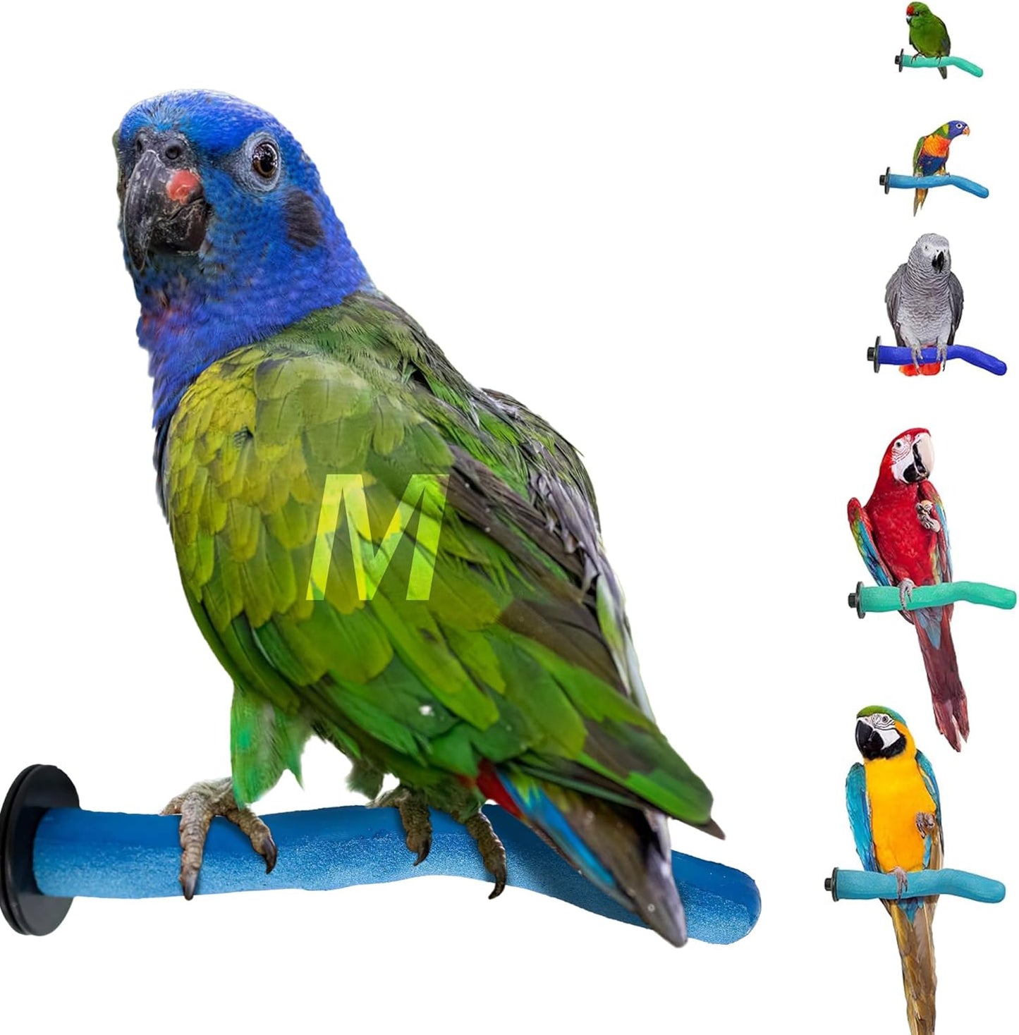 Sweet Feet & Beak Safety Pumice Bird Perch, Medium 1-1/4" X 12", Blue - Lightweight Grinding Bird Perches for Cage - Bird Nail Trimming Perch for Healthy Beak & Feet - Multi-Size & Color Parrot Stand