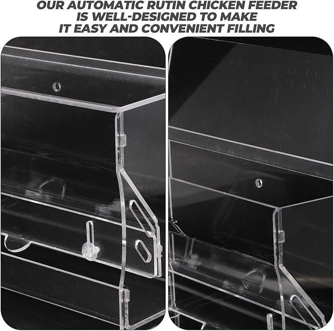 Beaupretty Automatic Acrylic Chicken Feeding Bowl Medium Multi-use Poultry Feeder Trough for Parrots and Birds Cage Use
