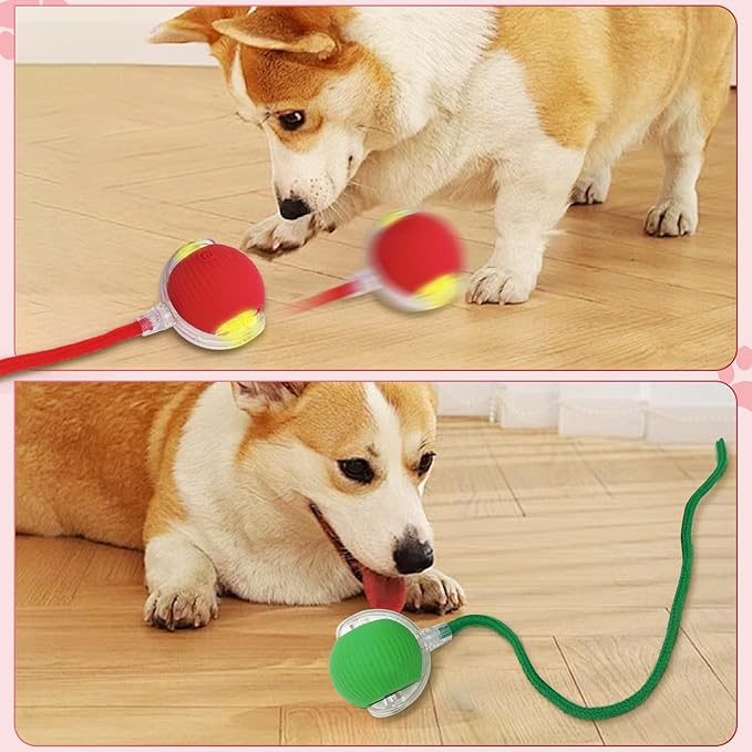 3pcs Smart Interactive Pet Toy Ball, Self Rolling Dog Ball Interactive Cat Toys, 360° Smart Automatic Rolling Ball Toy for Dogs Cats Indoor Outdoor Play (Red&Green&Grey)