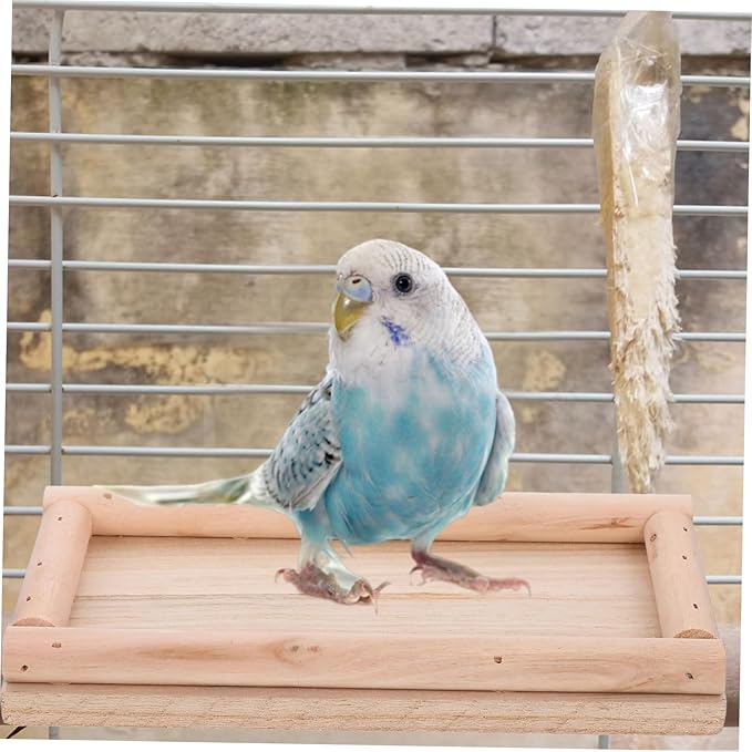Toyvian Hamster Platform Ladder Parrot Bed Climbing Ramp for Chinchilla Cage Bird Cage Stand Accessories