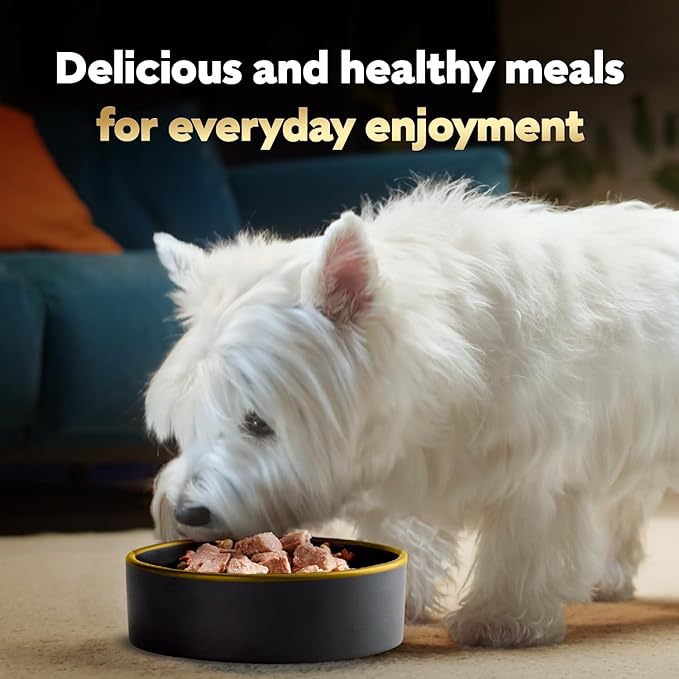 Cesar Wet Dog Food Steak Lovers Variety Pack,Adult,Wet Food for Dogs with Real Meat,3.5 oz Easy Peel Trays,36 Count (Pack of 2)