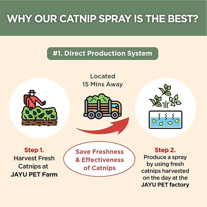 JAYU PET Active Catnip Spray - High Potency Transparent Liquid Spray Made of Fresh Organic Catnip for Indoor Cats and Kittens, Relieves Stress, Calming, Revives Toys (1fl oz) (Catnip Spray, 1fl oz)