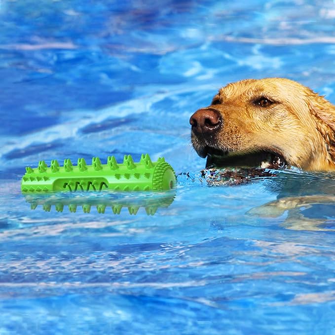Dog Chew Toys for Aggressive Chewers, Dog Toothbrush Care Cleaning Stick, Puppy Toothing Chew Toy for Small Middle Dog (Green)