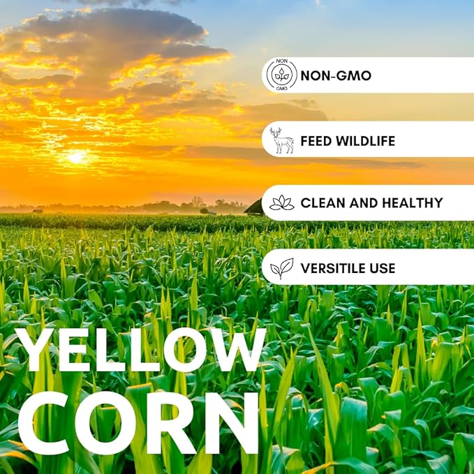 5 Pounds Premium Corn for Feeding – Bird Food for Crows and Ravens, Grown in Iowa, 5 lb Resealable Bag