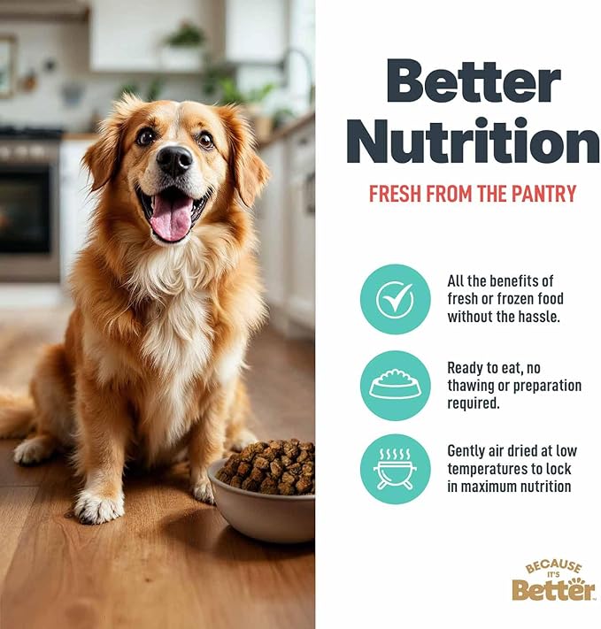 Because It’s Better Slow Baked & Air Dried Dog Food - Real Salmon & Veggies - Complete & Balanced Dry Dog Food - Grain Free, High Protein, Natural Nutrition for All Life Stages, 1 lb Bag