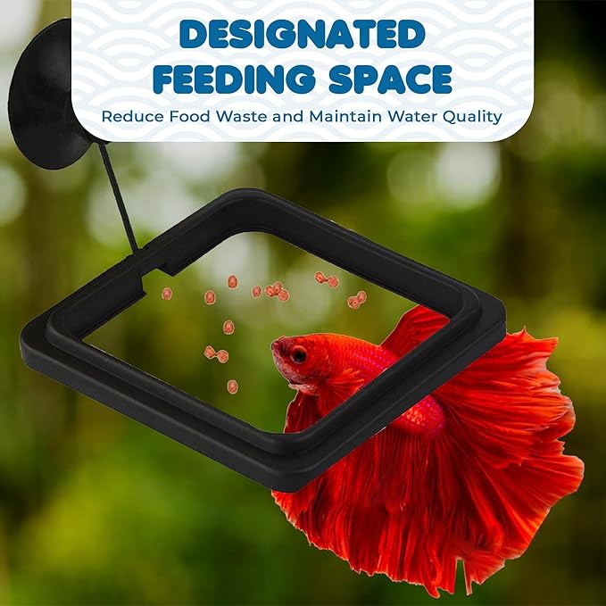 SunGrow Fish Food Feeding Ring, Stop Water Turbulence from Washing Food & Floating Plants into Filter, Suitable for Flakes & Floating Fish Pellets, for Goldfish, Guppy, Neon Tetra, Betta, 1 Piece