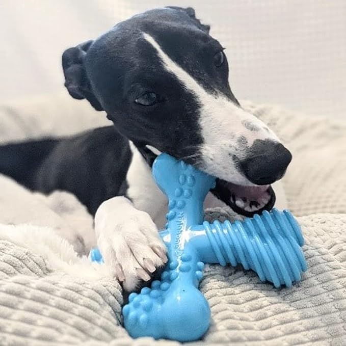 Nylabone Comfort Hold X-Bone Power Chew Toy for Dogs, Dog Toys for Aggressive Chewers, Beef Flavor, Large - Up to 50 lbs, 1 Count