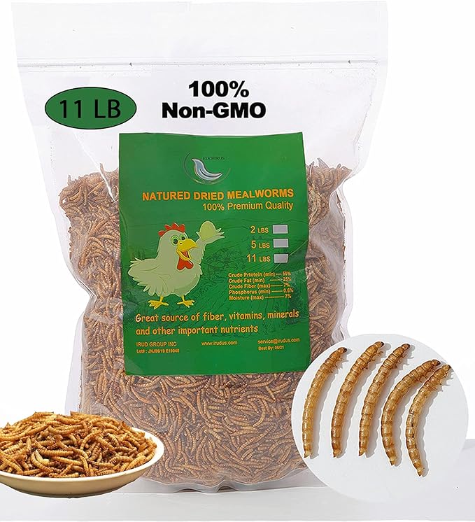 Non-GMO High-Protein Large Dried Mealworms for Chickens, Natural Grubs and Poultry Treats as Chicken Feed,Duck Food, Wild Birds Seed,Fish Food,Reptile Food,Amphibian Food(Mealworms-11LB)