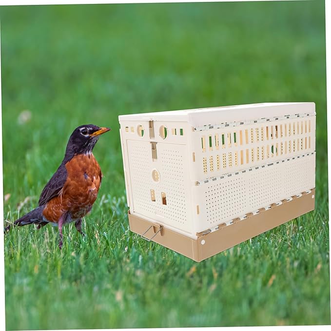 Mipcase Foldable Plastic Pigeon Cage Lock Portable Bird Transport Carrier with Handle for Small Pets Easy Assembly and Storage Suitable for Pigeons Birds Rabbits and Kittens