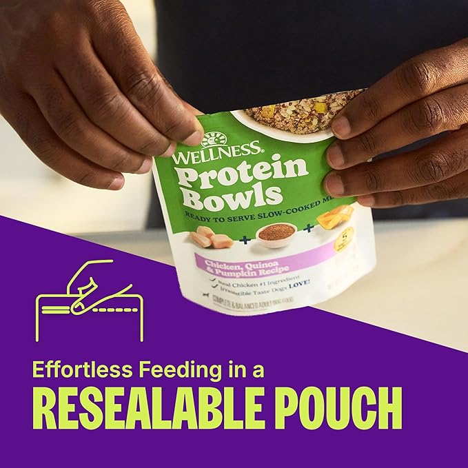 Wellness Protein Bowls Adult Wet Dog Food, Fresh Alternative, Wholesome Grains, Natural, Salmon, Whitefish, and Rice Recipe, 6.2 oz, Pack of 6 Pouches
