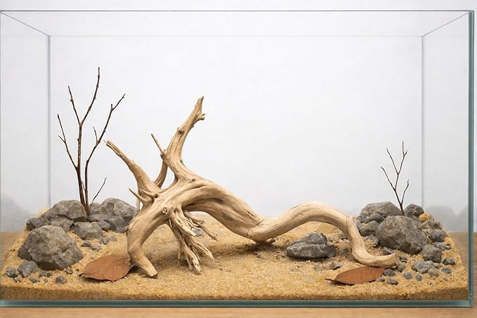 Azil spiderwood Natural Aquarium