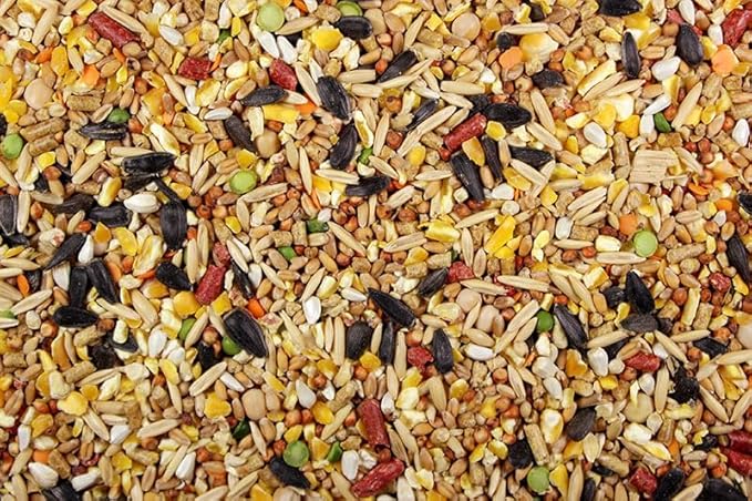 Chicken Feed, Whole Ingredient Chicken Treat, Wied Variety of Grains Poultry Feed (5 Pound (Pack of 1), Singer Mix with Cracked Corn)