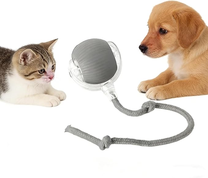 RightBliss Automatic Interactive Cat Dog Toy with Elastic Tail: Chirping Sound, Smart Obstacle Avoidance for Indoor Cats & Kittens(Gray)