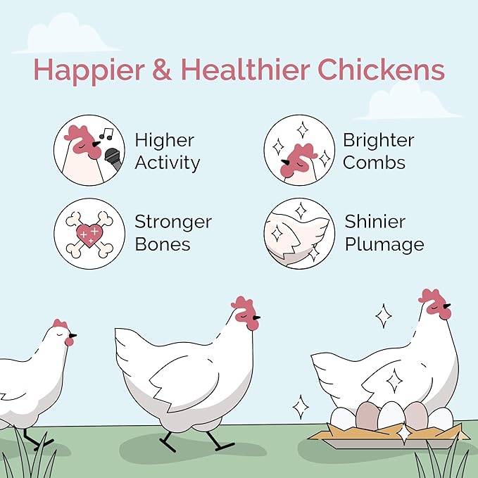 Mile Four Organic Chicken Feed – Grower Pellet, Non-GMO, USA Grown, 18% Protein, Corn-Free, Soy-Free, Non-Medicated Feed for Chickens, 2 lb Sample