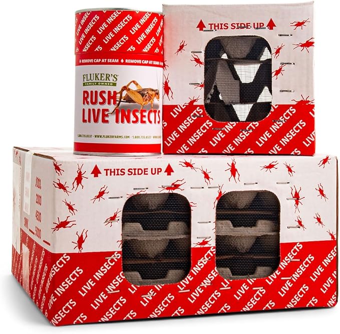 Fluker's Live Mealworms, 5000 Count Feeder Insects for Reptiles, Chickens, and Birds, Medium (Approx. 3/4")