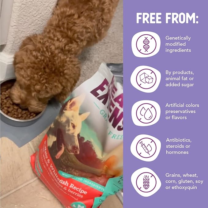 Health Extension Grain Free Buffalo & Whitefish Dry Dog Food - 30+ Superfoods and Probiotics for All Life Stages, 4 lb Bag