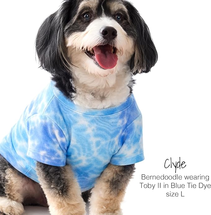 Pet Passion Toby II - The Perfect Tee, 3 Pack Short Sleeve Pet T-Shirt 100% Organic Cotton Tees Clothes for Small, Medium, Large Dogs, Blue Tie Dye, Medium (20-45 lbs)