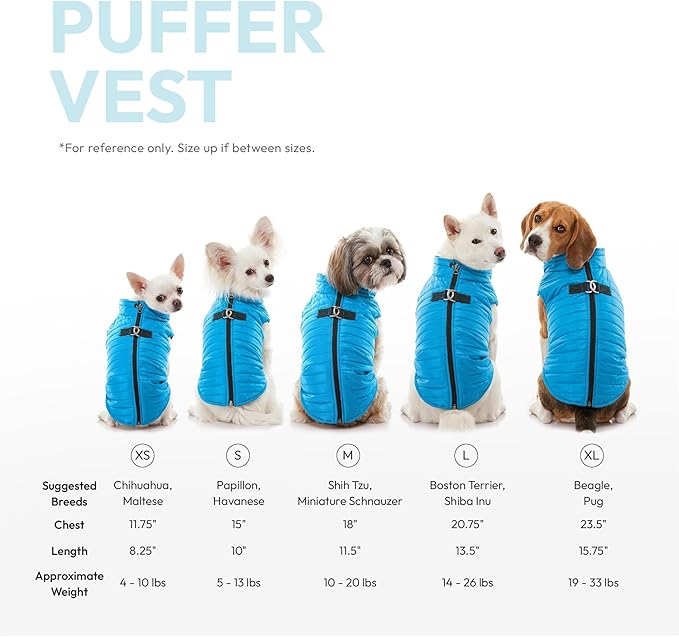 Gooby Puffer Vest - Green, X-Large - Ultra Thin Zip Up Windbreaker with Dual D Ring Leash - Water Resistant Dog Sweater Coat for Small Dogs