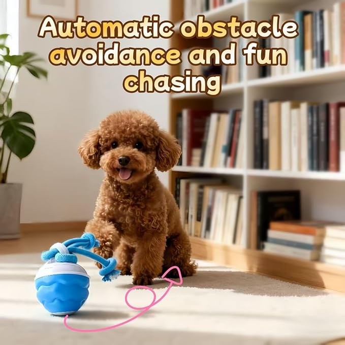 Interactive Dog Toy Ball with Smart Obstacle Avoidance, Irregular Movement, and Simulated Bird Calls, Suitable for Dogs and Cats. Type-C Charging (Blue, with 1 Free Knot).