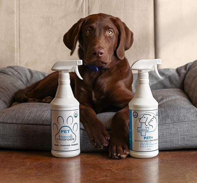 Pet+ Wound Care Promote Skin Healing and Repair for Common concerns Such as cuts, scrapes, and sores with hypochlorous Wound Care.