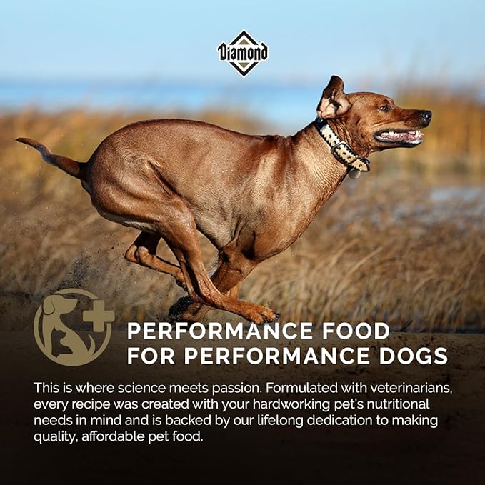 Diamond Premium All Life Stages Dry Dog Food 26/18 for Active, Athletic & Sporting Dogs 6lb Bag