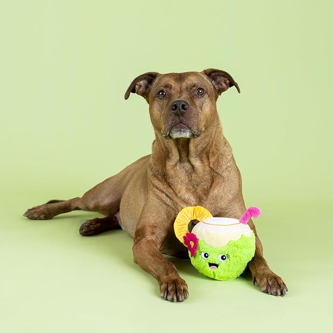 Fringe Studio COC-Nuts About You Plush Dog Toy, Pet Shop Collection (314366)