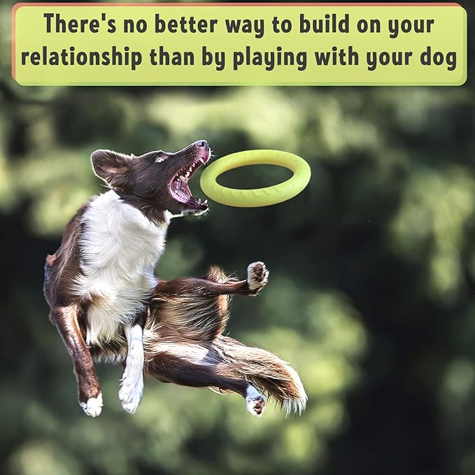 PetSpy Dog Ring Toy – Flying Ring for Outdoor Play, Floating Training & Fetch Toy for Throwing, Catching & Chewers – Durable EVA Flying Disc for Small, Medium & Large Dogs