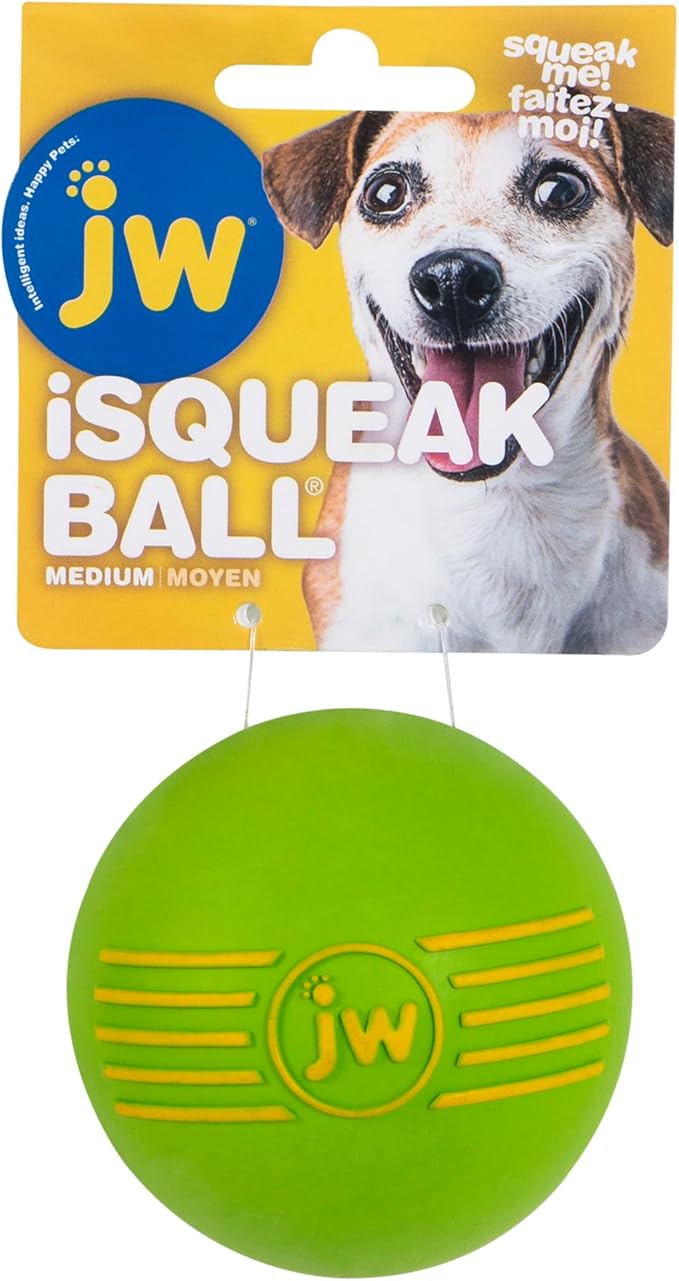 JW iSqueak Ball Durable Natural Rubber Dog Toy (Assorted Colors)