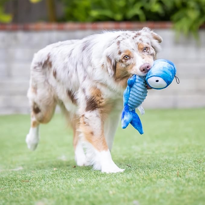 Huxley & Kent Slappies for Dogs | Jack Hammerhead (Large) | Squeak & Shake Dog Toy | No Stuff Tummy with Squeaky TPR Ball in Head | Simulates Hunting Nature for Dogs