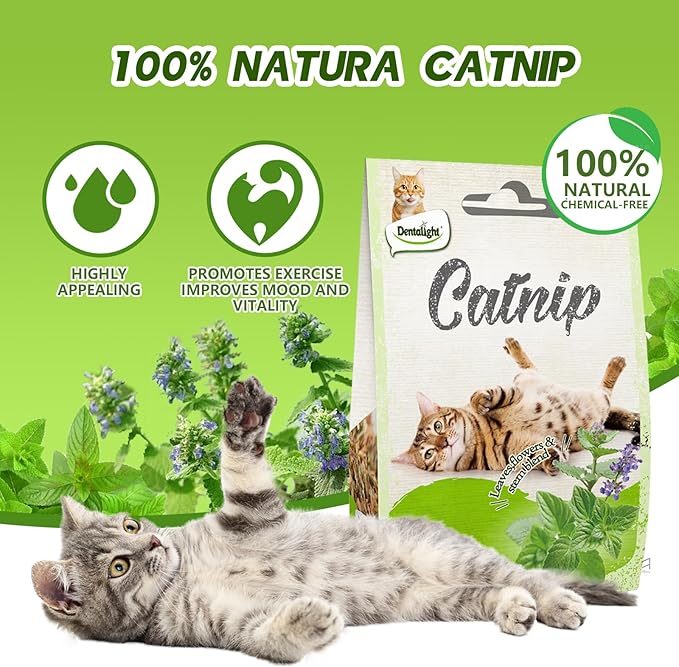 Faywell Catnip for Cats & Kittens, Leavest, Flower & Stem Blend, 100% Natura & Chemical Free, Non-Addictive, 15g