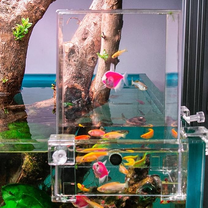 Fish Elevator Inverted Aquarium, Transparent Acrylic Fish Tank, Auto-Refill Water Level Maintenance, Suspended Fish Tank for Aquatic Pets
