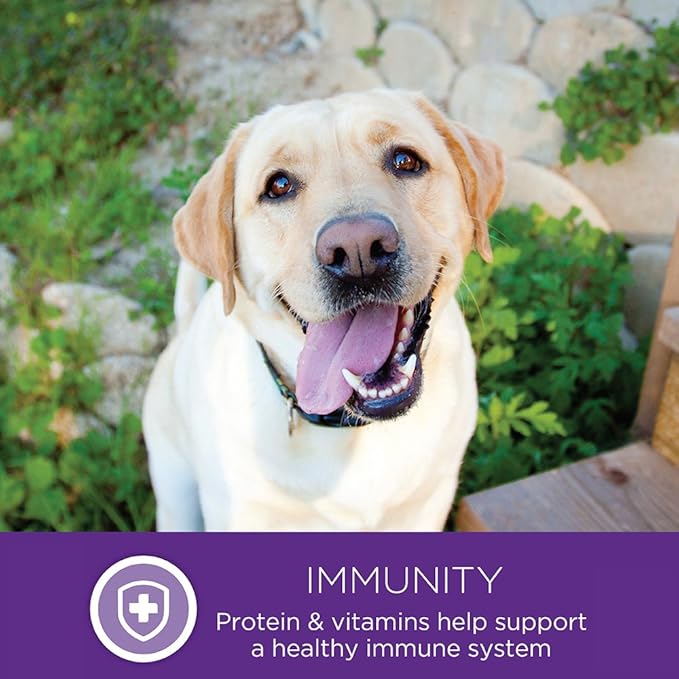 Wellness Complete Health Large Breed Adult Dry Dog Food, Wholesome Grain Kibble, Natural, Chicken, Brown Rice and Salmon Meal Recipe, 30 lb Bag