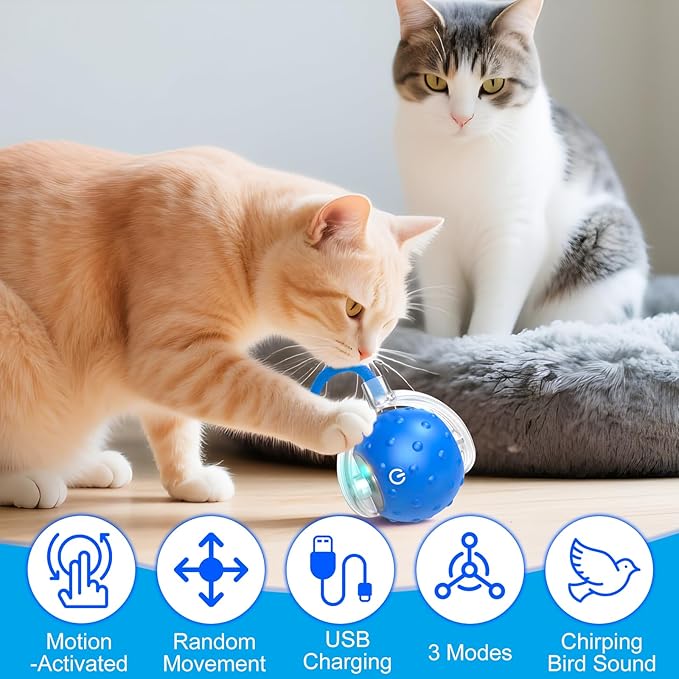2Pcs Tinyfetch Dog Toy, Interactive Dog Cat Toys Balls with Birdsong, Rechargeable 360° Smart Automatic Rolling Electric Dog Ball Toy with Rope for Pets Indoor & Outdoor Play (Red+Blue)