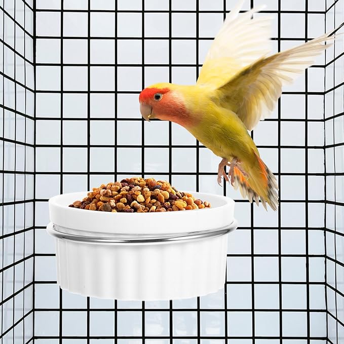 Parrot Food and Water Bowl for Bird Cage Stainless Steel Small Bird Cage Bowl with Hanging Hook Accessory for Parakeets and Cockatiels