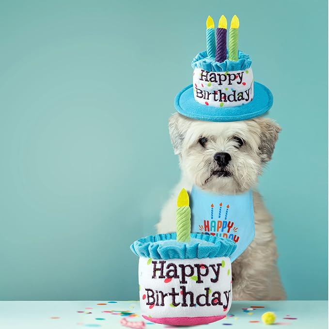 Dog Birthday Cake Toy, Happy Birthday Cake Shaped Squeaky Dog Toys for Medium & Large Dogs Funny Dogs Gifts Plush Dog Party Toys, Large, Blue