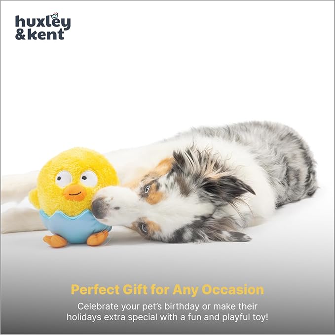 Huxley & Kent Funny Dog Toy w/Squeaker – Power Plush Squeaky Dog Toys for Small, Medium & Large Dogs – Soft Stuffed Animal for Indoor Play & Fetch - Chick-a-Dee, Small