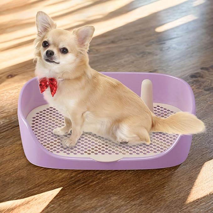 Litter Tray Pet Kitten Toilet Training Potty Pet Litter Pan Portable Design Anti Splashing Function Suitable for Small Animal Indoor Outdoor, Purple 40x30x11cm