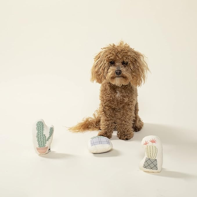 Fringe Studio "Potted Cactus Durable Cotton Canvas Small Plush Dog Toy 3PCS Set, PetShop Collection (521014)