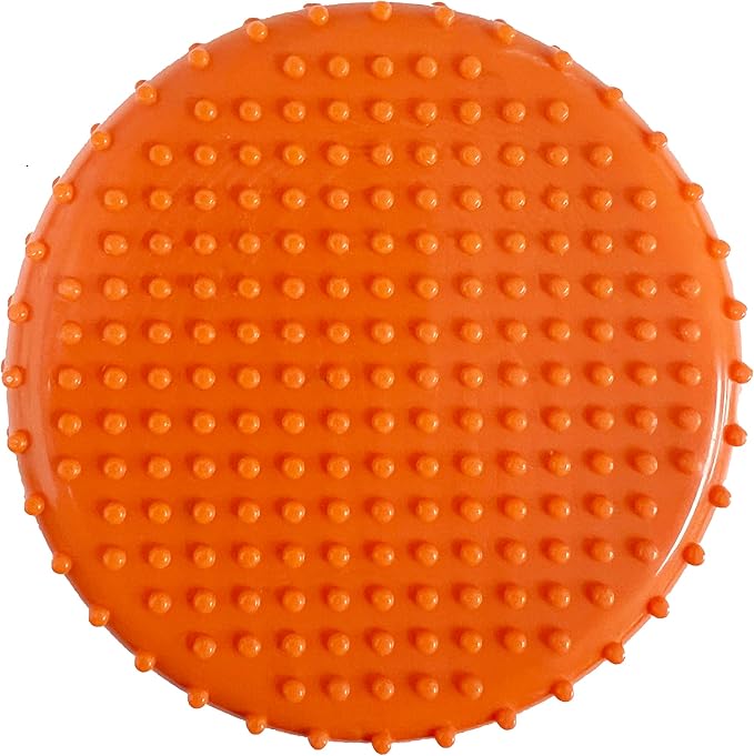 Pets First NBA Boston Celtics Hard-Nylon Bacon-Flavored Basketball Chew Toy, Indestructible Dog and Cat Chewy Toy, Tug, Fetch Toy, Sporty Fun Toy for Dogs