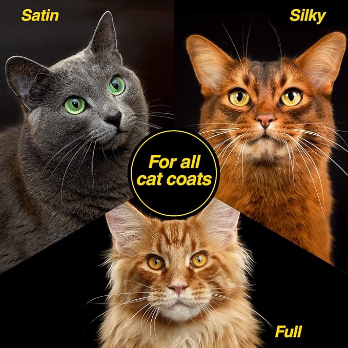 Chris Christensen Top Cat Shine Shampoo for Cats, Groom Like a Professional, Restores Dry & Brittle Coat, Creates a Gorgeous Shine, Made in USA, 16 oz