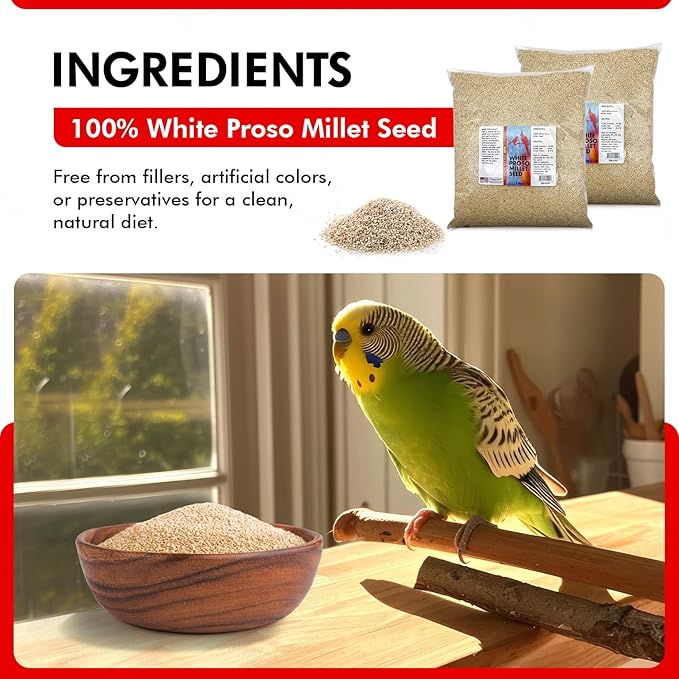 Morning Bird White Proso Millet 18 lbs (2-Pack, 9 lbs Each) Unhulled Natural Bird Seed – Supports Feather Growth & Balanced Nutrition – High Energy Seed - Ideal for Finches, Parakeets & Pet Birds