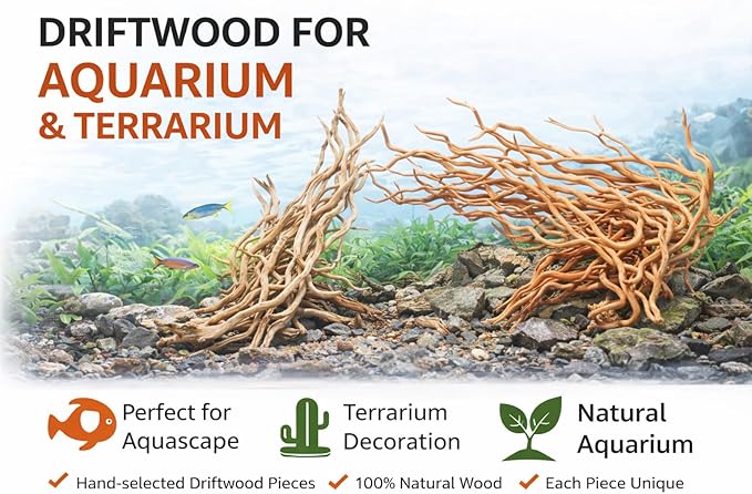 Azil Natural Aquarium Driftwood Root – Driftwood for Aquarium Decor, 170g~0.38lb (14″–16″), Fish Tanks, Terrariums, Aquascaping & Planted Tanks