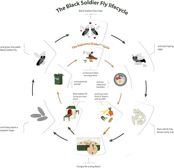 Natural Black Soldier Fly Larvae for Chickens, 85X More Calcium Than Mealworms-High Protein Grub Food Chicken Treats for Hens, Probiotic-Rich Chicken Feed, Calcium-Dense Bird Treat 5lb