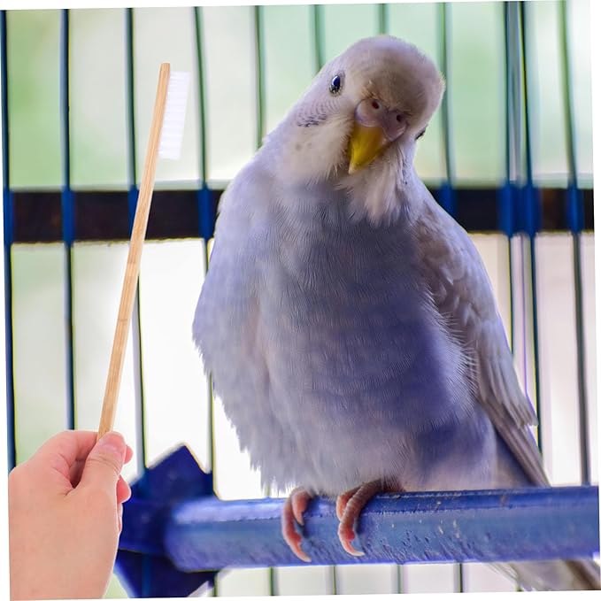 Toddmomy 2pcs Multi-Purpose Bird Cage Cleaning Brush Scoop Easy to Use Set for Feeder Perch Coop Pet Supplies Maintenance