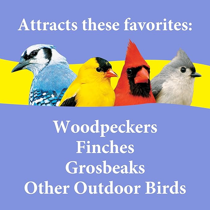 3-D Premium Nut N' Berry Wild Bird Food – Real Fruits, Nuts & Sunflower – No Fillers – Fortified with Vitamins & Electrolytes – Attracts Songbirds, Woodpeckers, Cardinals & More