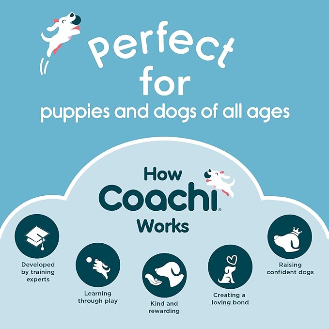 Company of Animals Coachi Multi-Clicker, Dog Accessory, Volume Control with 3 Settings, Easy to Click, Adjustable Wrist Strap, Dog Clicker, for Dog Training, Including Sensitive Dogs and Puppies